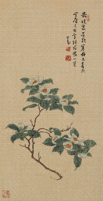 国画印刷版.清代1.傅儒的国画作品-清 溥儒 花哇绢106x55