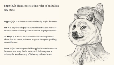 柴犬的图片