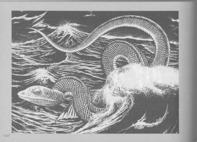 T15-日本百鬼夜行和风妖怪图鉴鸟山石燕山海异兽志百鬼录参考素材.中国妖怪事典的作品