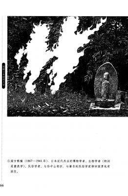 T15-日本百鬼夜行和风妖怪图鉴鸟山石燕山海异兽志百鬼录参考素材.【书籍资料】日本妖怪大全1的作品
