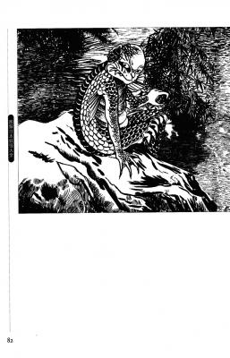 T15-日本百鬼夜行和风妖怪图鉴鸟山石燕山海异兽志百鬼录参考素材.【书籍资料】日本妖怪大全6的作品