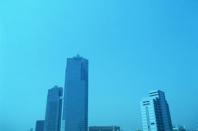 风景图.M203  实景图片 欧美风情 现代城市与古建筑 街道街景 场景绘画参考15美国全景的图片
