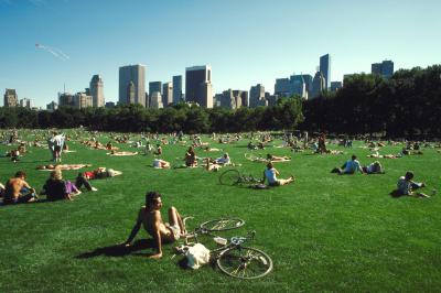 风景图.M203  实景图片 欧美风情 现代城市与古建筑 街道街景 场景绘画参考15美国全景的图片
