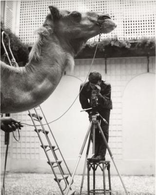其他.Guy Bourdin 摄影作品Guy Bourdin的摄影作品
