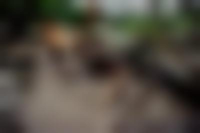 美国.史蒂夫·麦凯瑞SteveMcCurry下集2082PAgriculture 23的摄影作品