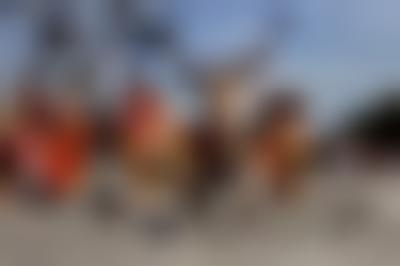 美国.史蒂夫·麦凯瑞SteveMcCurry下集2082PKumbh Mela 27的摄影作品