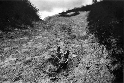 其他.约瑟夫·寇德卡（Josef Koudelka)451k寇德卡-流放者的摄影作品