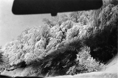 其他.约瑟夫·寇德卡（Josef Koudelka)451k寇德卡-流放者的摄影作品