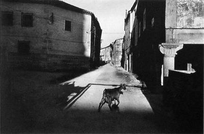 其他.约瑟夫·寇德卡（Josef Koudelka)451k寇德卡-流放者的摄影作品