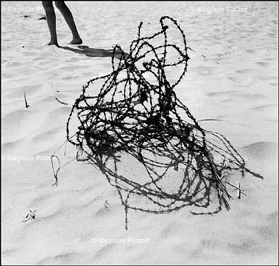 其他.约瑟夫·寇德卡（Josef Koudelka)451寇德卡Beginnings-Théâtre Semaphor 1961的摄影作品