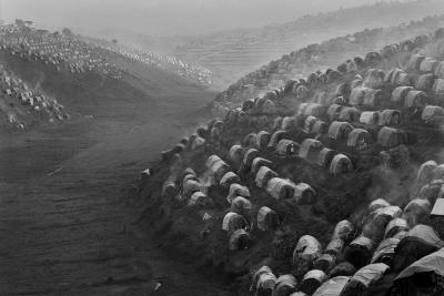 其他.萨尔加多图集Sebastiao Salgado 摄影图集的摄影作品