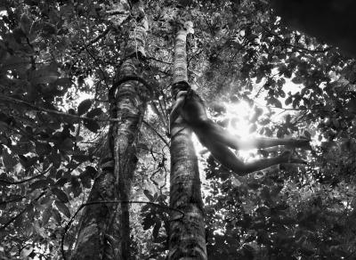其他.萨尔加多图集Sebastiao Salgado 摄影图集的摄影作品