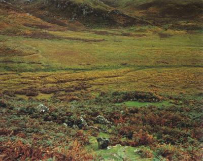 其他.史蒂芬.肖尔 Stephen Shore 摄影素材 黑白摄影 欧美摄影大师LANDSCAPES的摄影作品