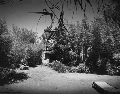 其他.Julius Shulman 建筑摄影师 现代主义 摄影图片素材的摄影作品