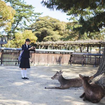 其他.overwater摄影作品图片合集 电子摄影图片素材京 の 街角 II的摄影作品
