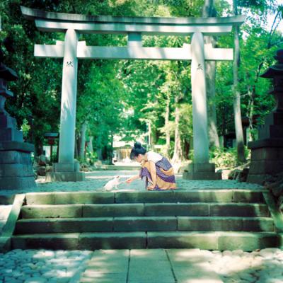其他.overwater摄影作品图片合集 电子摄影图片素材夏の猫旅人的摄影作品