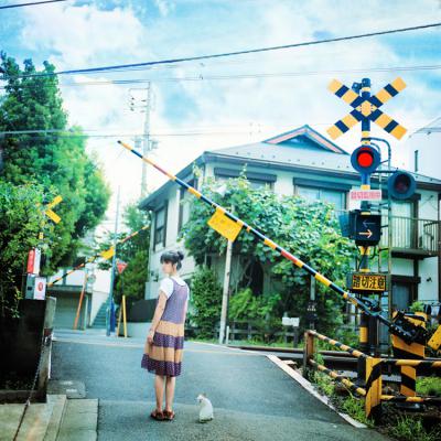其他.overwater摄影作品图片合集 电子摄影图片素材夏の猫旅人的摄影作品