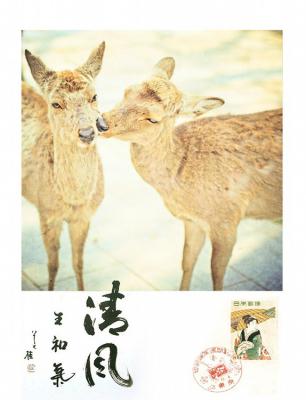 其他.overwater摄影作品图片合集 电子摄影图片素材寄给时光机的摄影作品