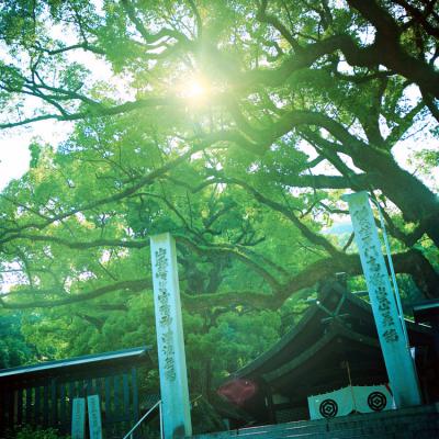 其他.overwater摄影作品图片合集 电子摄影图片素材岛歌的摄影作品