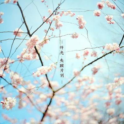 其他.overwater摄影作品图片合集 电子摄影图片素材时光里失踪的片刻的摄影作品