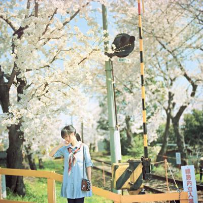其他.overwater摄影作品图片合集 电子摄影图片素材桜の七日的摄影作品