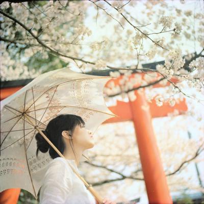 其他.overwater摄影作品图片合集 电子摄影图片素材桜の七日的摄影作品
