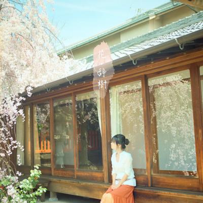 其他.overwater摄影作品图片合集 电子摄影图片素材花 . 辞树的摄影作品