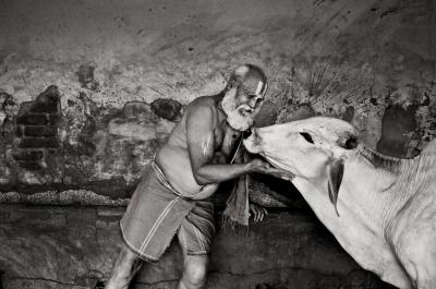其他.史蒂夫·麦凯瑞SteveMcCurry下集Agriculture 23的摄影作品