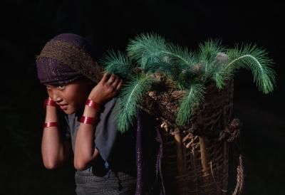 其他.史蒂夫·麦凯瑞SteveMcCurry下集Agriculture 23的摄影作品