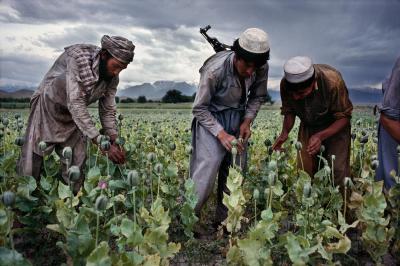 其他.史蒂夫·麦凯瑞SteveMcCurry下集Agriculture 23的摄影作品
