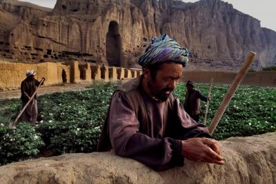 其他.史蒂夫·麦凯瑞SteveMcCurry下集Agriculture 23的摄影作品