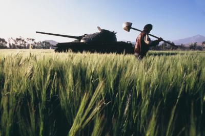 其他.史蒂夫·麦凯瑞SteveMcCurry下集Agriculture 23的摄影作品