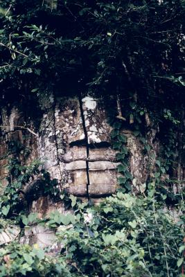 其他.史蒂夫·麦凯瑞SteveMcCurry下集Angkor Wat 98的摄影作品