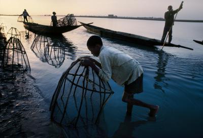 其他.史蒂夫·麦凯瑞SteveMcCurry下集Child Labor 42的摄影作品