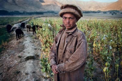 其他.史蒂夫·麦凯瑞SteveMcCurry下集Child Labor 42的摄影作品