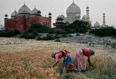 其他.史蒂夫·麦凯瑞SteveMcCurry下集Couples 67的摄影作品
