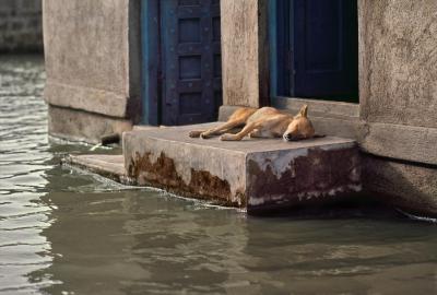 其他.史蒂夫·麦凯瑞SteveMcCurry下集Doors 21的摄影作品