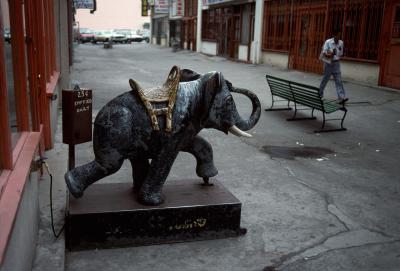 其他.史蒂夫·麦凯瑞SteveMcCurry下集Elephants 21的摄影作品