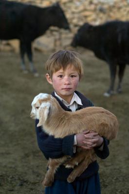 其他.史蒂夫·麦凯瑞SteveMcCurry下集Hazaras 9的摄影作品