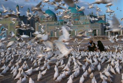 其他.史蒂夫·麦凯瑞SteveMcCurry下集Islam 22的摄影作品