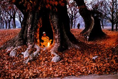 其他.史蒂夫·麦凯瑞SteveMcCurry下集Kashmir 27的摄影作品