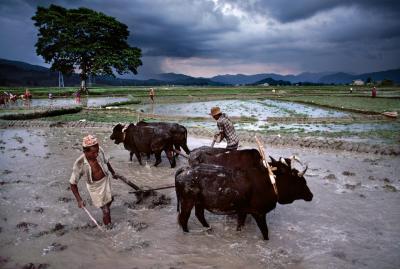 其他.史蒂夫·麦凯瑞SteveMcCurry下集Landscapes 33的摄影作品