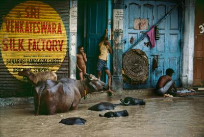 其他.史蒂夫·麦凯瑞SteveMcCurry下集Monsoon 46的摄影作品