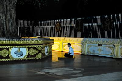 其他.史蒂夫·麦凯瑞SteveMcCurry下集Shwedagon Pagoda 15的摄影作品