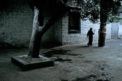 其他.史蒂夫·麦凯瑞SteveMcCurry下集Tibet 51的摄影作品