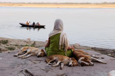 其他.史蒂夫·麦凯瑞SteveMcCurry下集Varanasi 11的摄影作品