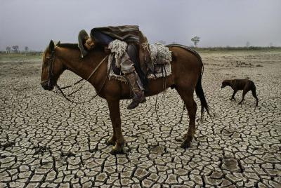 其他.史蒂夫·麦凯瑞SteveMcCurry上集ALL CREATURES GREAT AND SMALL 61的摄影作品