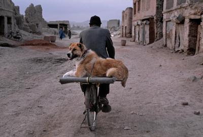 其他.史蒂夫·麦凯瑞SteveMcCurry上集ALL CREATURES GREAT AND SMALL 61的摄影作品
