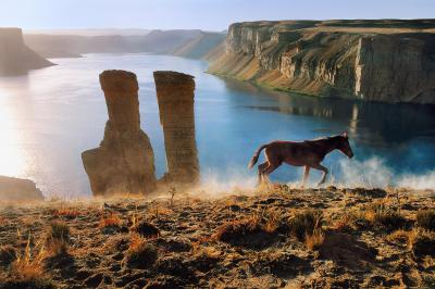 其他.史蒂夫·麦凯瑞SteveMcCurry上集HORSES AND HUMANS 21的摄影作品