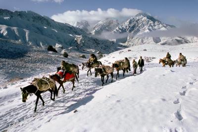 其他.史蒂夫·麦凯瑞SteveMcCurry上集HORSES AND HUMANS 21的摄影作品